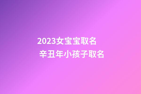 2023女宝宝取名 辛丑年小孩子取名